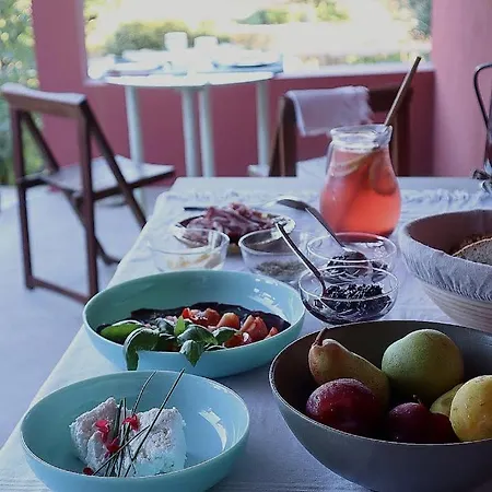 Trevo Douro Refuge For 2 And Artisanal Breakfast In The Douro Valley * Trevoes