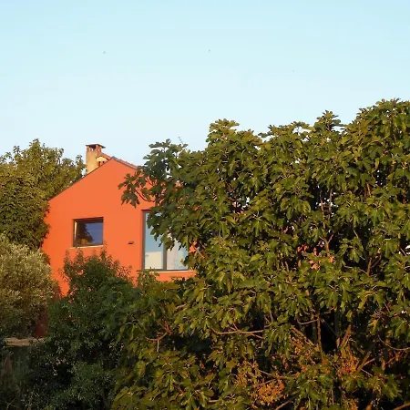 Trevo Douro Refuge For 2 And Artisanal Breakfast In The Douro Valley *