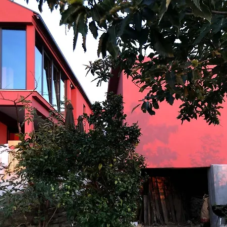 Διαμέρισμα Trevo Douro Refuge For 2 And Artisanal Breakfast In The Douro Valley Trevoes