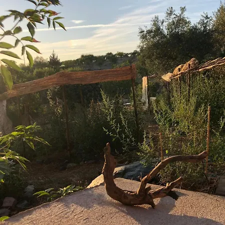 Trevo Douro Refuge For 2 And Artisanal Breakfast In The Douro Valley Trevoes