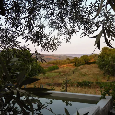 Trevo Douro Refuge For 2 And Artisanal Breakfast In The Douro Valley Διαμέρισμα Trevoes