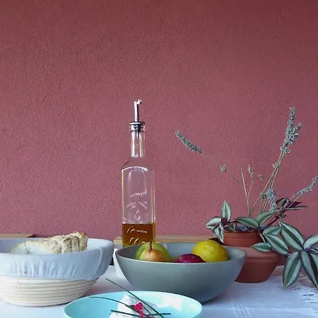 Trevo Douro Refuge For 2 And Artisanal Breakfast In The Douro Valley Διαμέρισμα