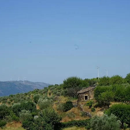 Trevo Douro Refuge For 2 And Artisanal Breakfast In The Douro Valley Διαμέρισμα