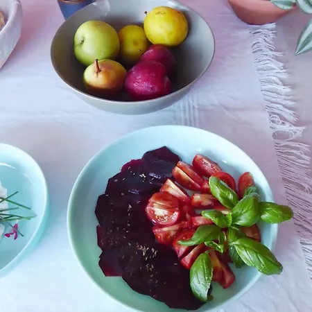 Trevo Douro Refuge For 2 And Artisanal Breakfast In The Douro Valley Διαμέρισμα