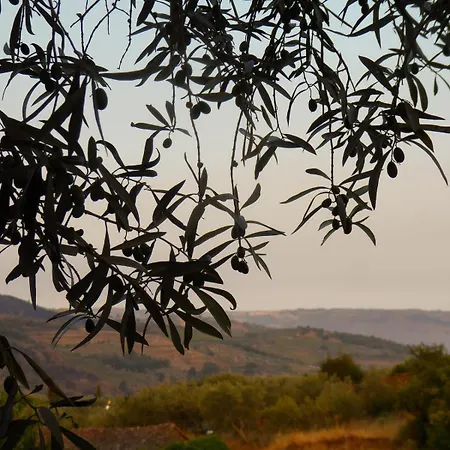 Trevo Douro Refuge For 2 And Artisanal Breakfast In The Douro Valley *